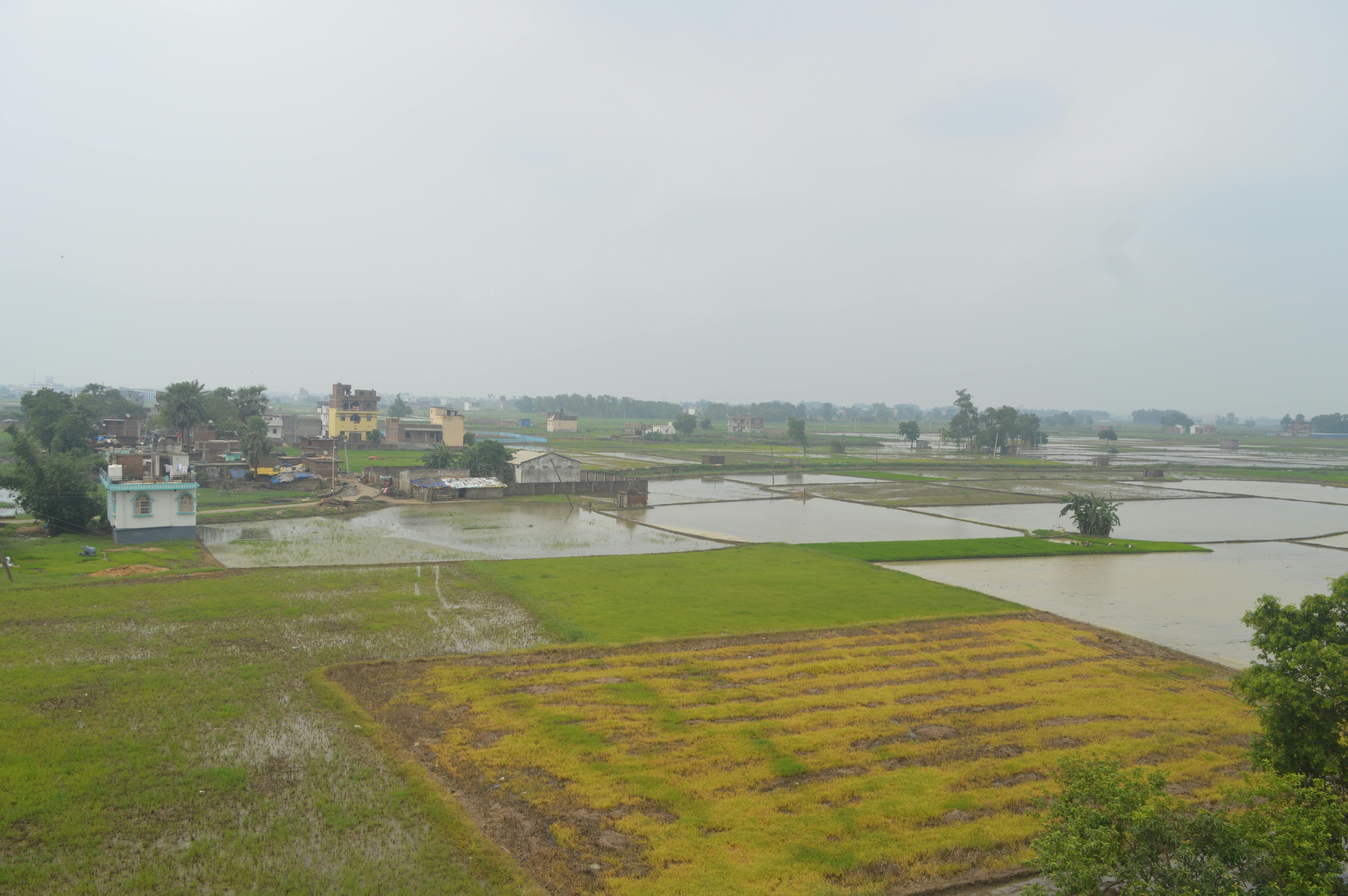 Free stock photo of beautiful nature, vvvv