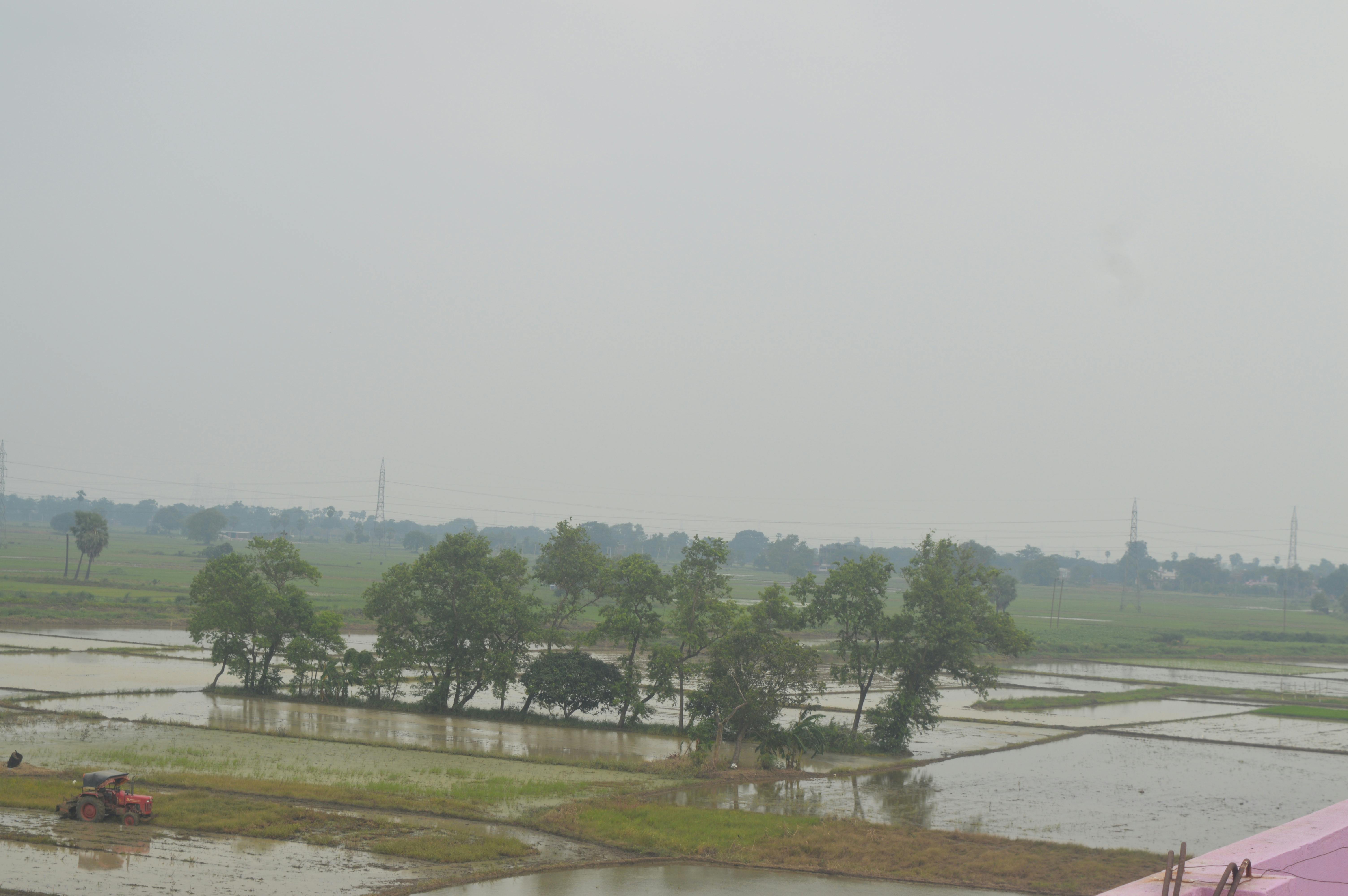 Free stock photo of beautiful nature