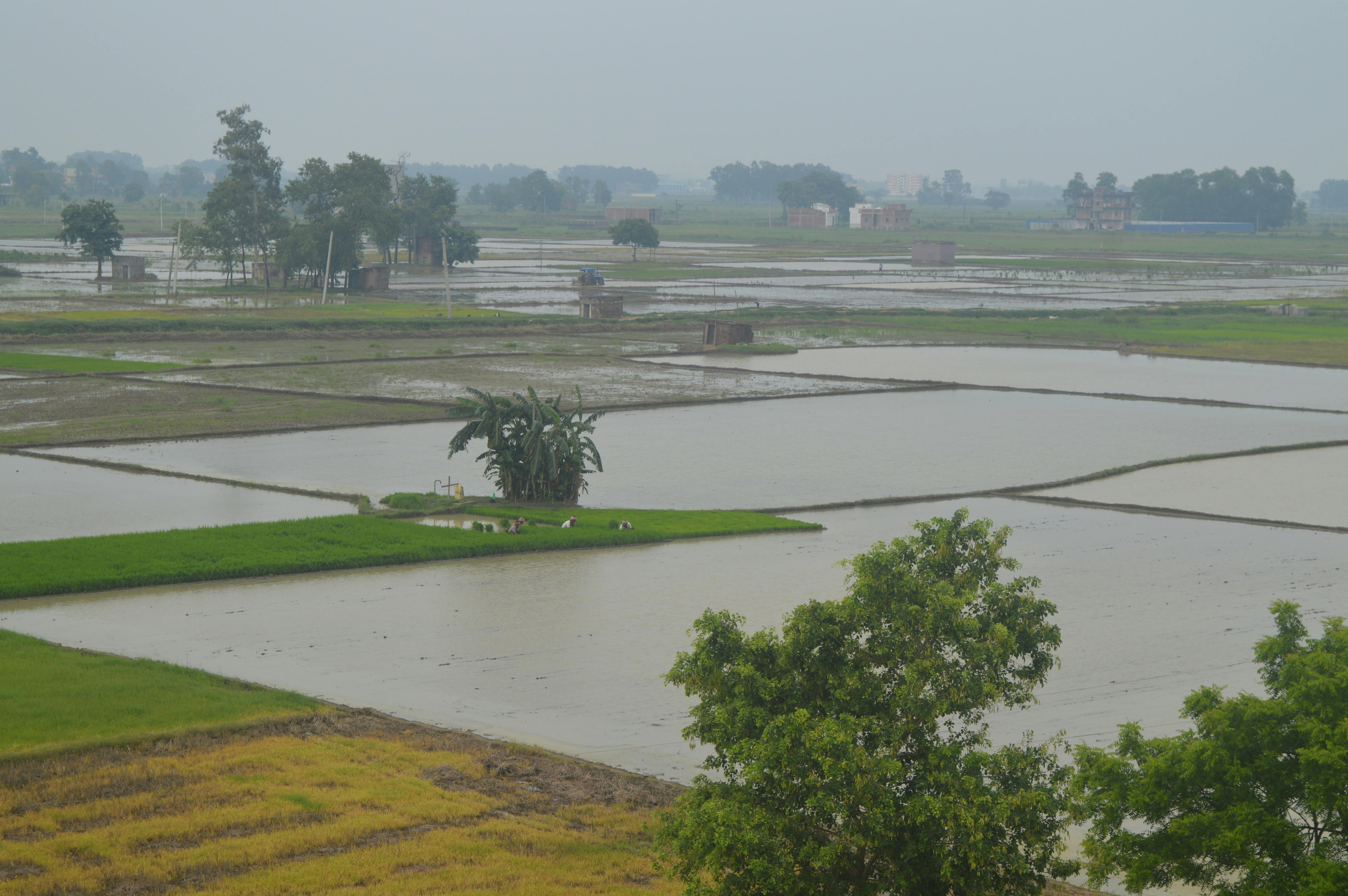 Free stock photo of beautiful nature