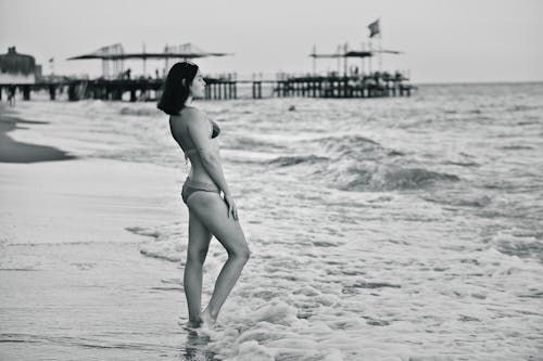 女人, 岸邊, 擺姿勢 的 免費圖庫相片