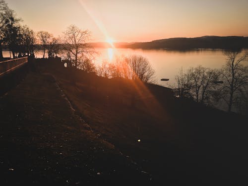 Free stock photo of ancient, castle, fir