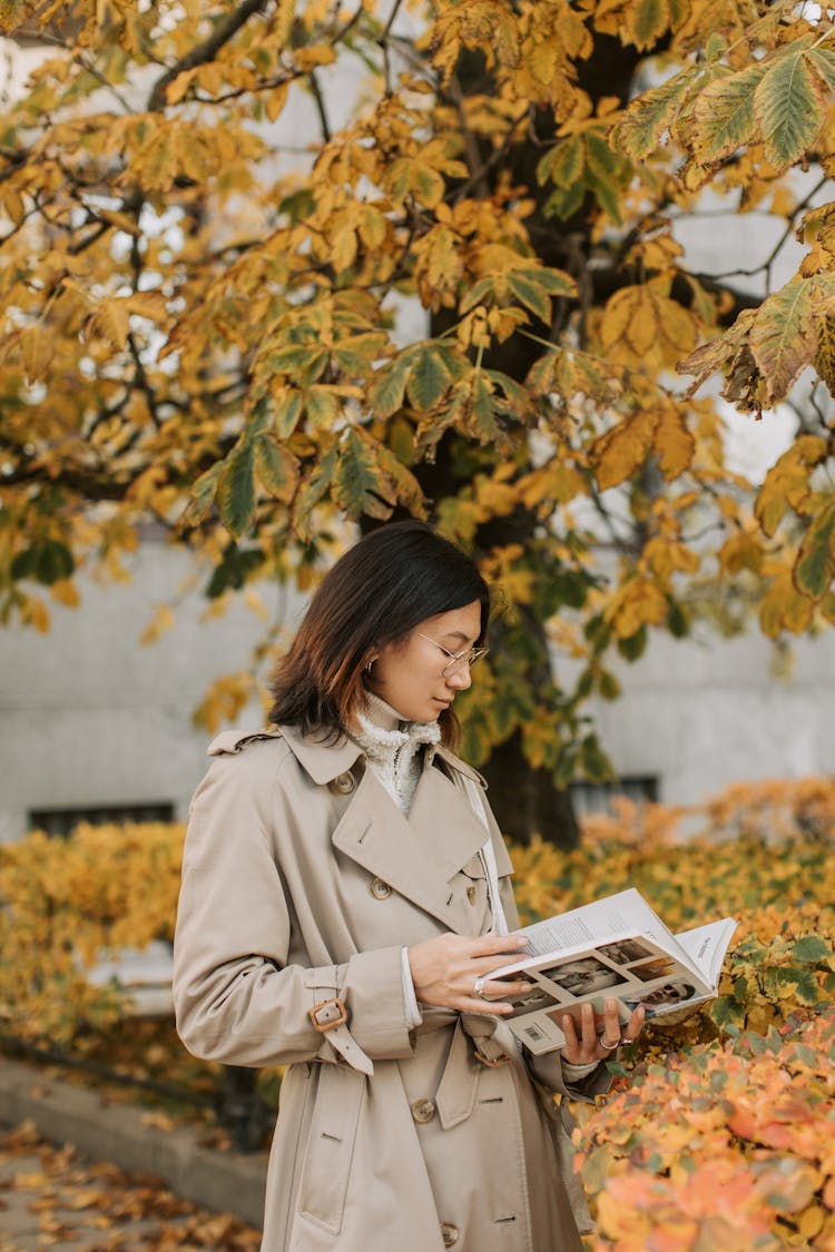 A Woman Reading A Book Under A Tree