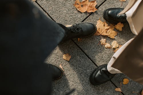 가을, 가을 시즌, 가죽 신발의 무료 스톡 사진