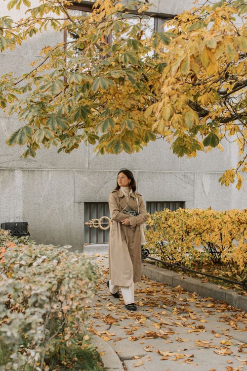 Free A woman strolls gracefully in a park during autumn, surrounded by vibrant yellow leaves. Stock Photo