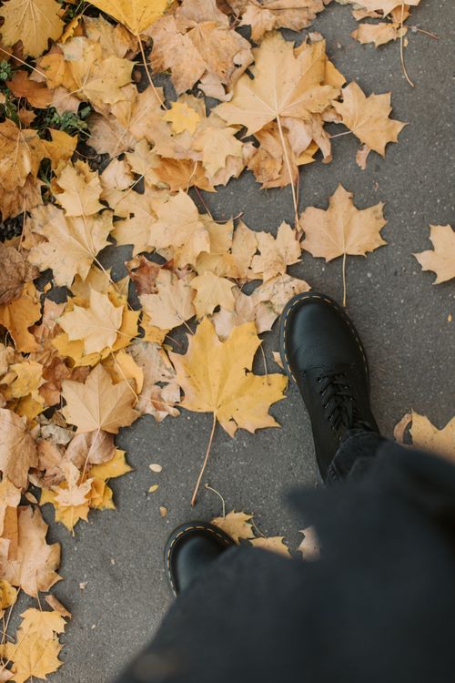 Free Top view of leather shoes surrounded by dried autumn leaves on asphalt. Stock Photo