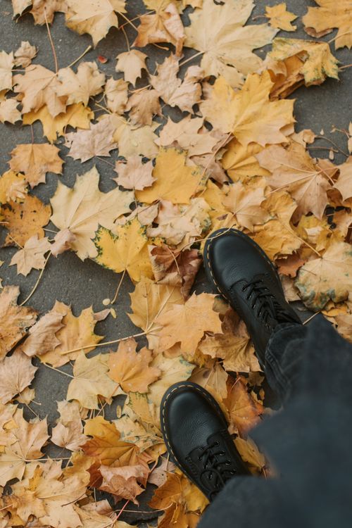 Free A person in black boots standing on scattered maple leaves during fall. Stock Photo