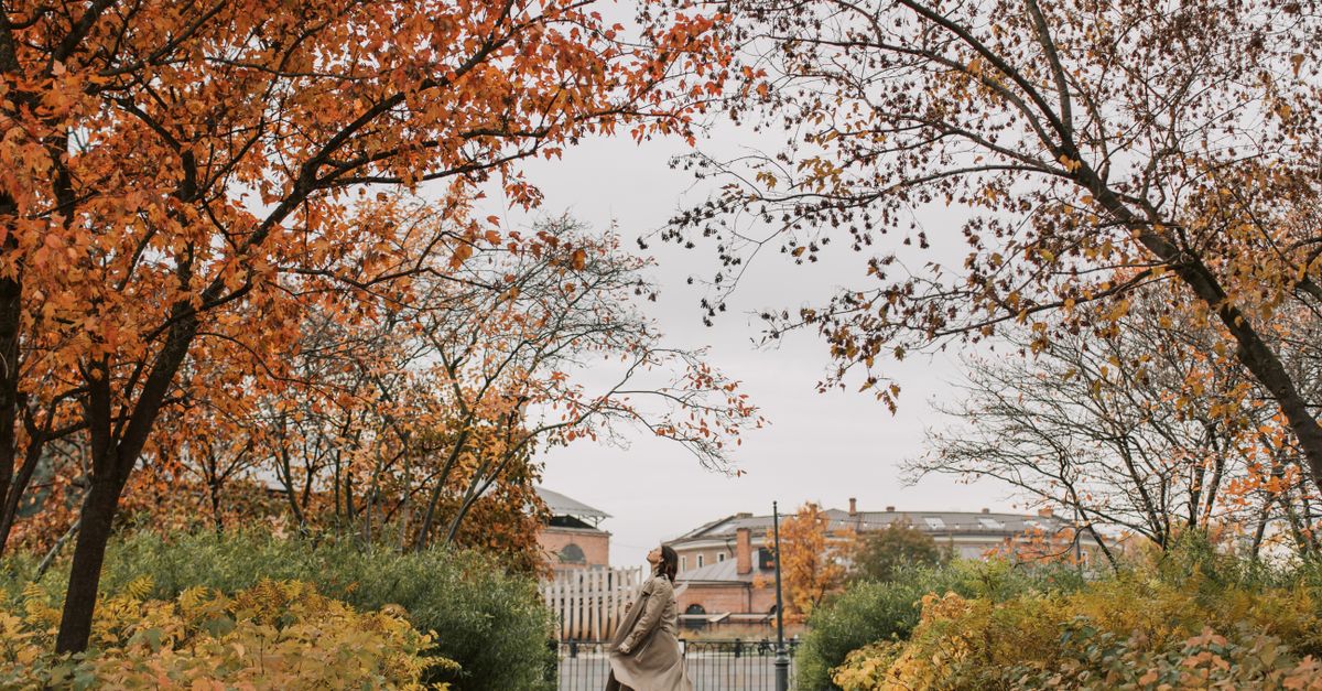 person walking slowly in a park, autumn leaves, no phone in hand