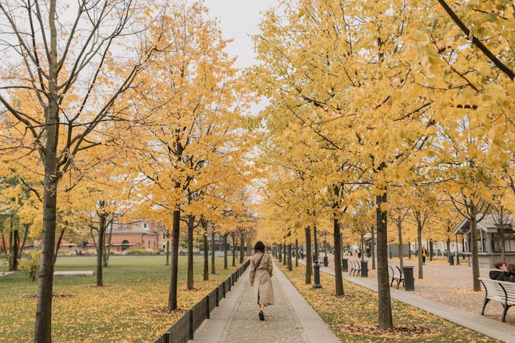 Woman Walking On The Sidewalk At The Park