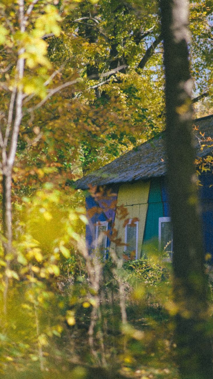 A House Made of Rain cover artwork
