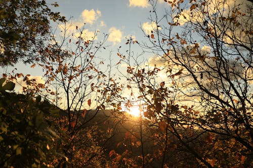Why Our Days Get Shorter As September Moves In
