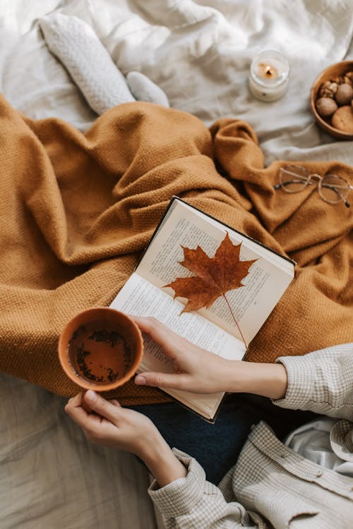 Free Person Covered in Brown Blanket Holding a Mug Stock Photo