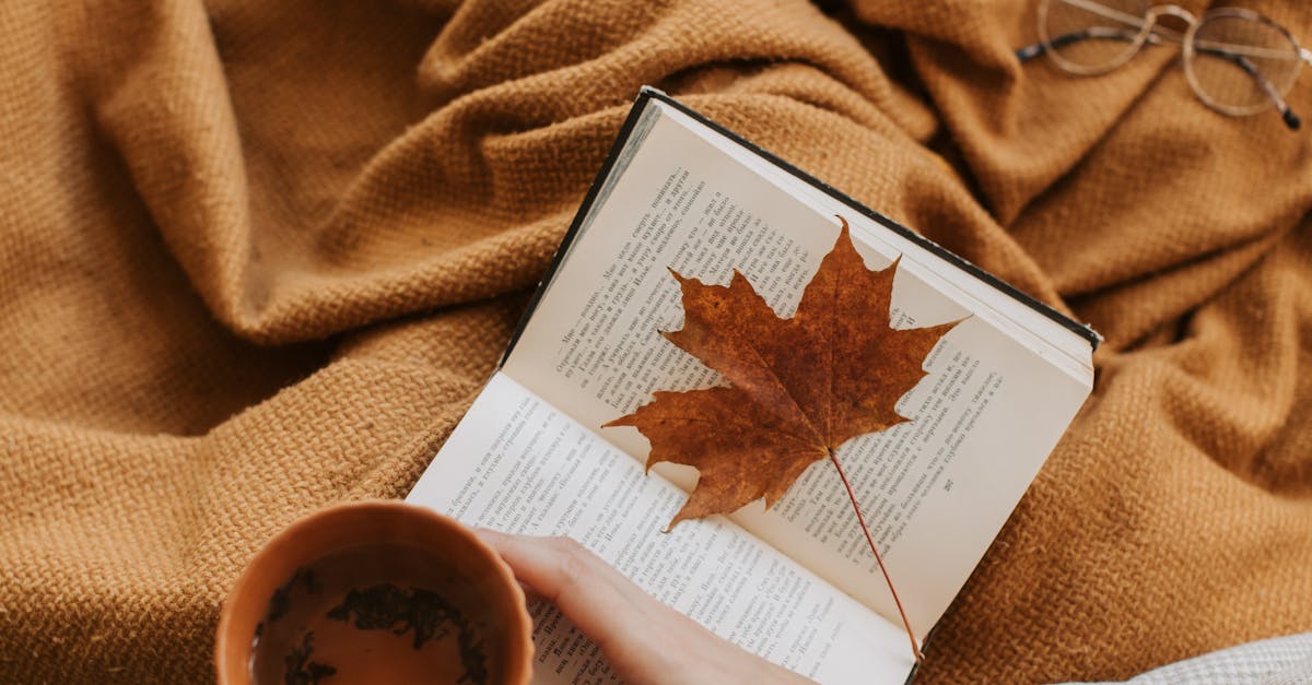 What does theme mean in literature examples