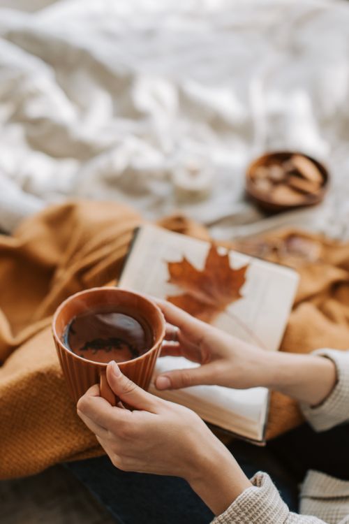 Free Warm autumn setting with hot tea, book, and leaf for a cozy atmosphere. Stock Photo