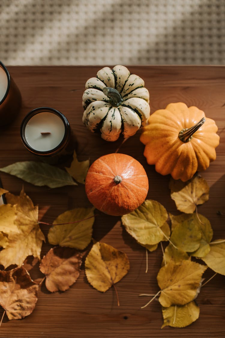 Pumpkins And Dried Leaves