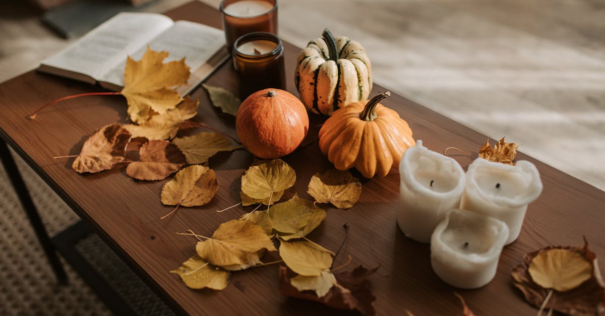 Les Meilleurs Accessoires de Maison en Soldes pour l'Automne