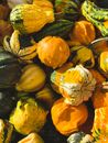 Yellow and Green Pumpkin Lot