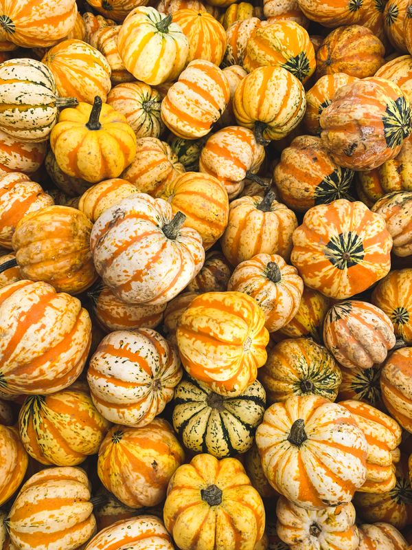A vibrant display of orange striped pumpkins, perfect for autumn decor or Halloween.