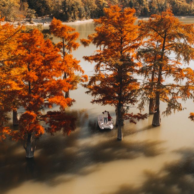 A beautiful autumn scene in Sukko, Russia featuring a pedalo between colorful cypress trees on a serene lake.