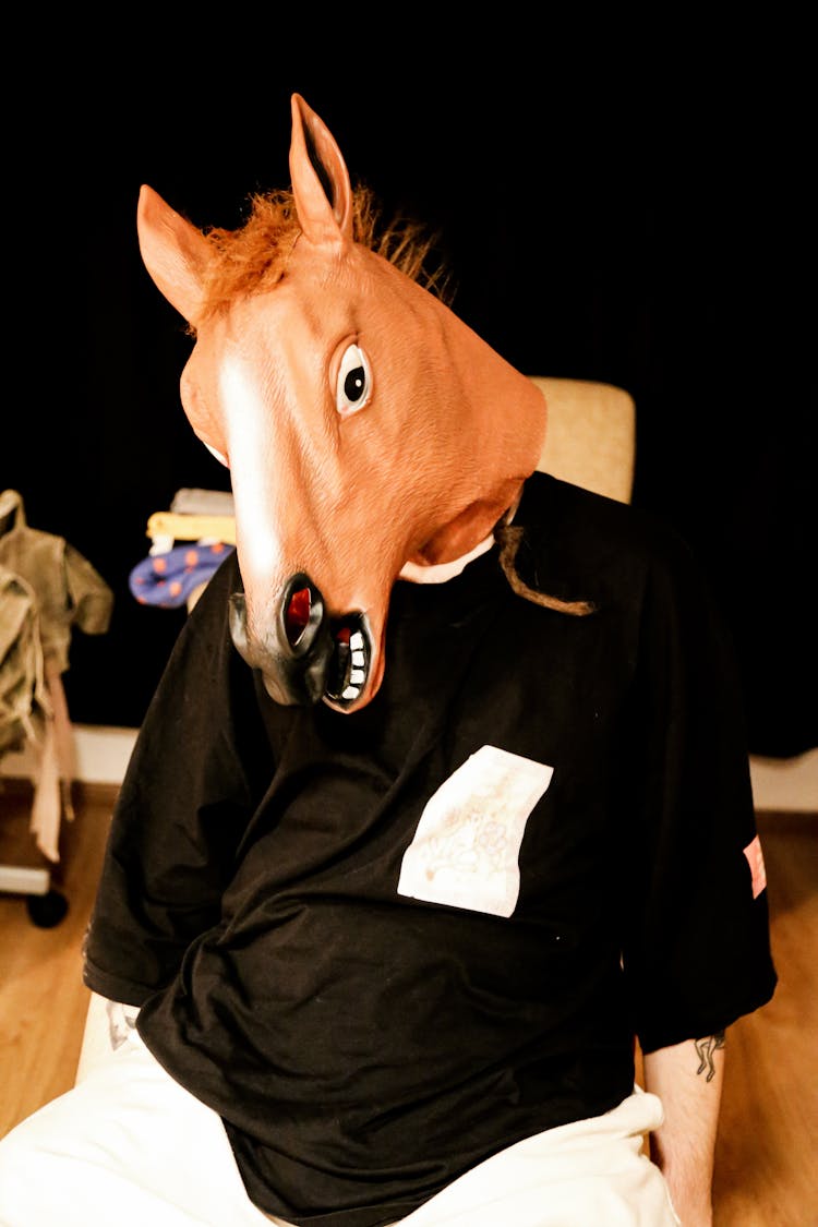 A Person In A Horse Head Mask