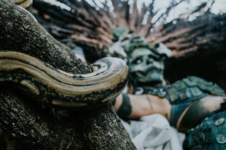 Person With Death Mask And Snake In Foreground