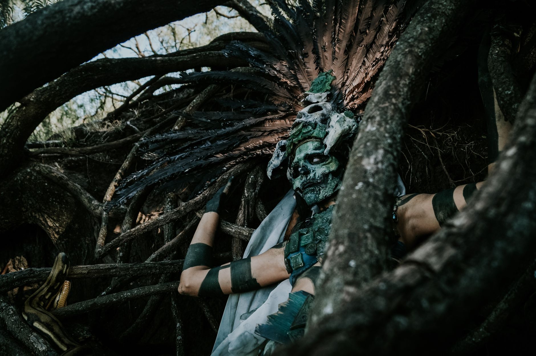 A person in an elaborate headdress and mask blends with twisted tree branches, evoking mythological themes.