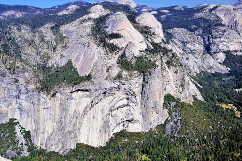 A Gray Rocky Mountain with Green Trees