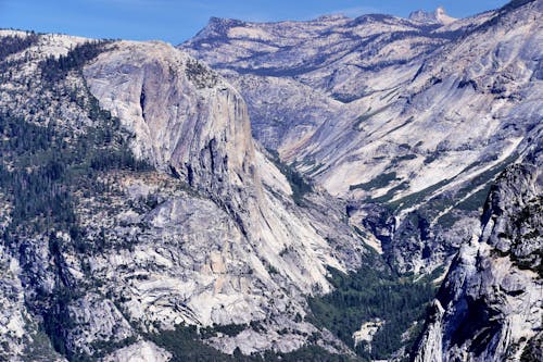 A Gray Rocky Mountain with Green Trees