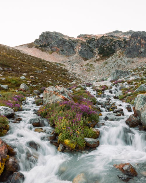 Cascade in Mountains 