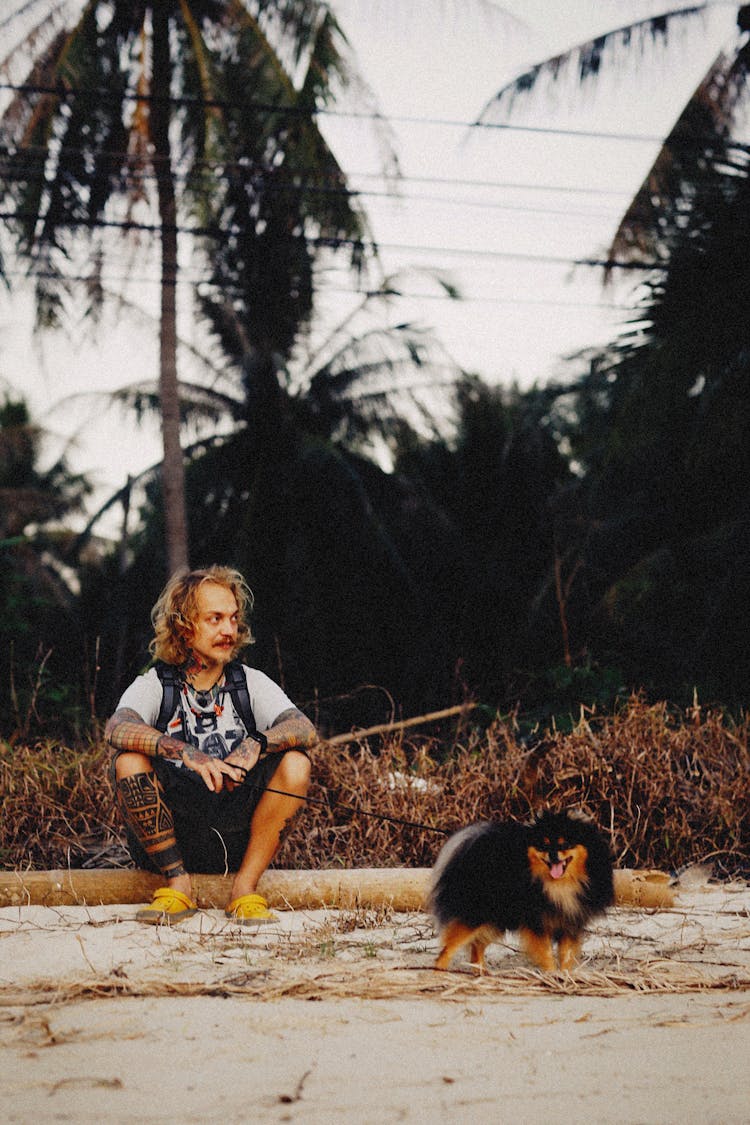 Man Sitting On Tree Trunk While Holding The Leash Of A Dog