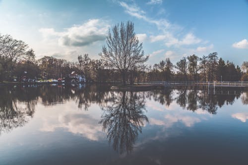 Free Reflection of Trees on Body of Water Stock Photo