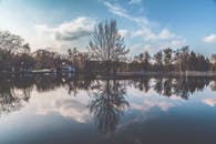 宁静的景色中，湖泊风景如画，清晰地倒映着树木与天空