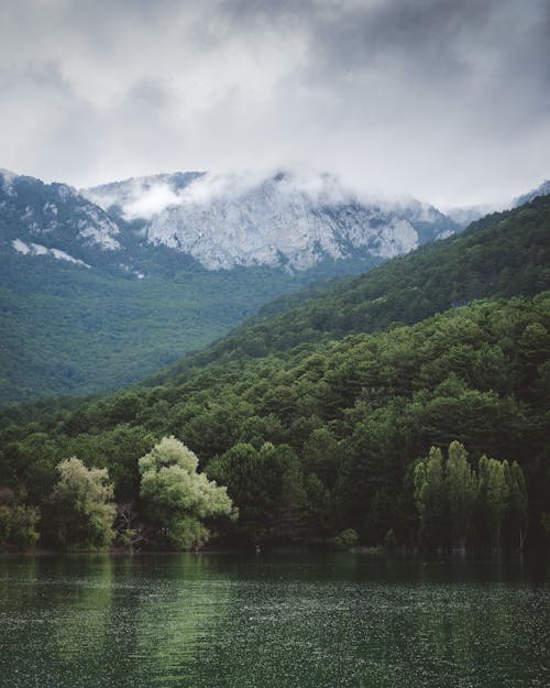 Free Mountain Lake with Forrest  Stock Photo