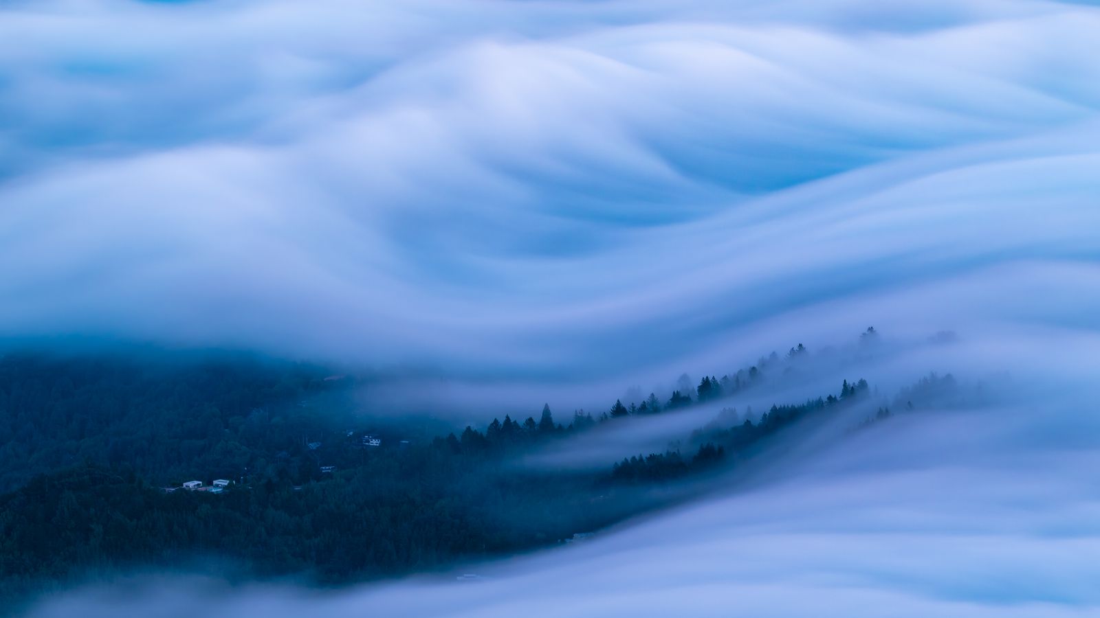 Blue mist flowing over a forested valley.