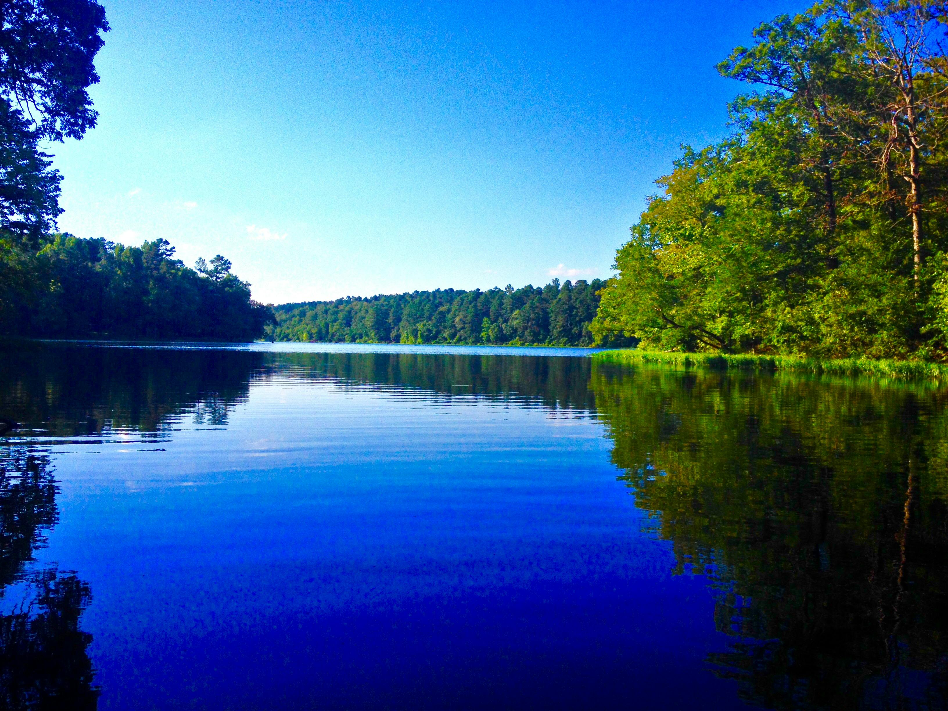 Calm Lake · Free Stock Photo