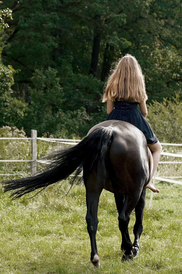 A Woman In Black Dress Riding A Horse