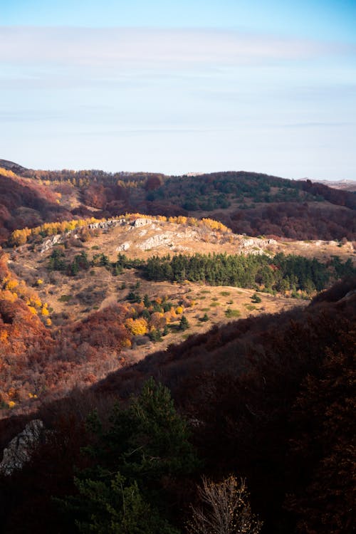 Hills Under the Clear Blue Sky 