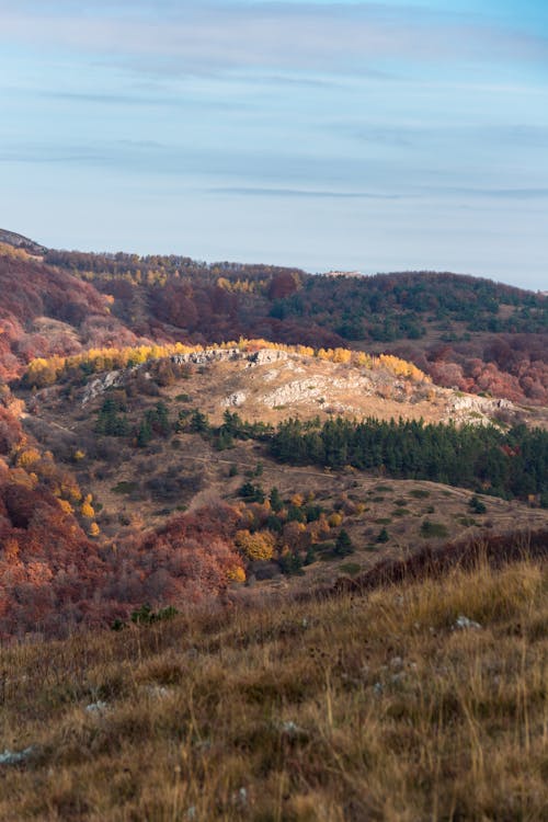 Photos gratuites de arbres, automne, collines