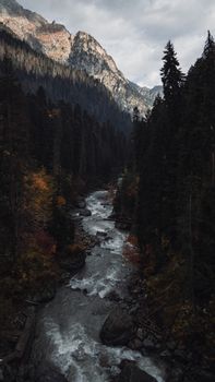 Picturesque mountain river flowing through a dense forest in Dombay, Russia during autumn.