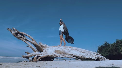 Gratis Wanita Di Puncak Batang Pohon Dekat Pantai Foto Stok
