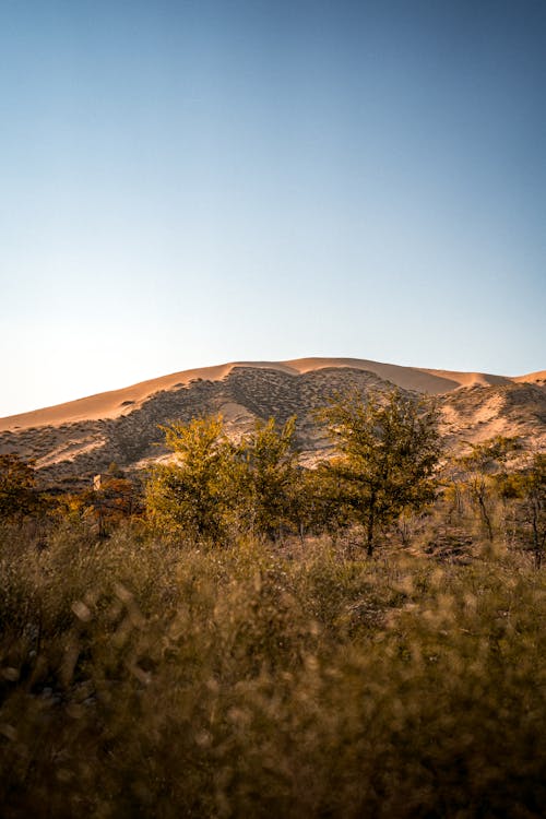 Free Brown Mountain Under the Blue Sky Stock Photo