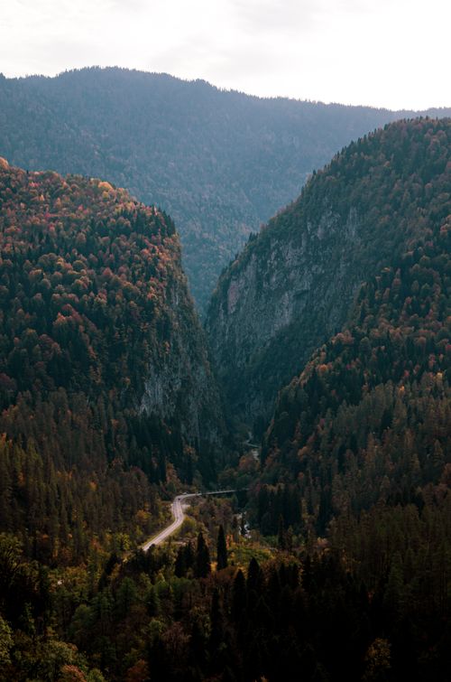 Free Breathtaking view of a forested valley with a winding road and towering cliffs in early autumn. Stock Photo