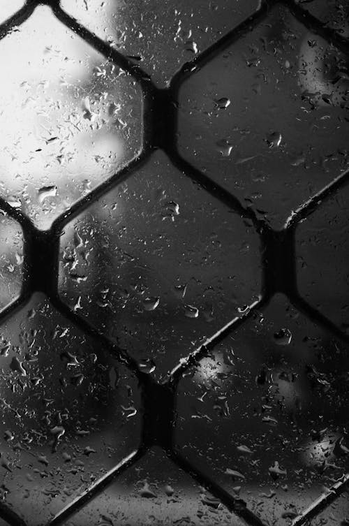 Grayscale Photo of a Wet Glass