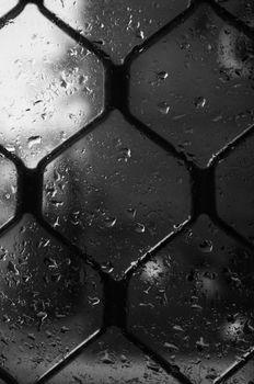 Close-up of hexagonal textured glass with water droplets in black and white.