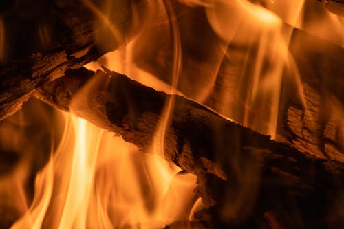 Close-Up Shot of a Burning Woods