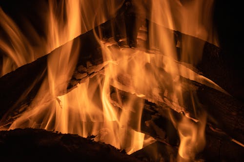 Free stock photo of bonfire, burning, camp fire Stock Photo