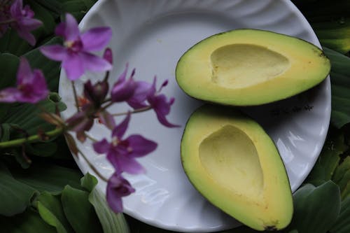 Безкоштовне стокове фото на тему «авокадо, барвистий, вирощувати» стокове фото