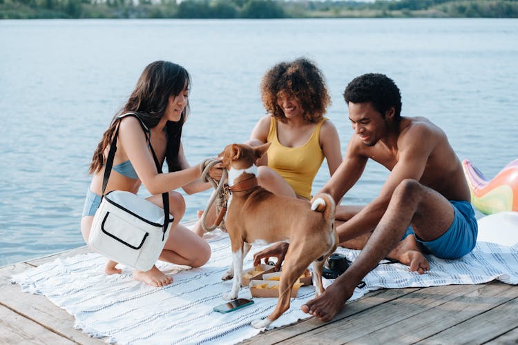 Friends Petting A Dog