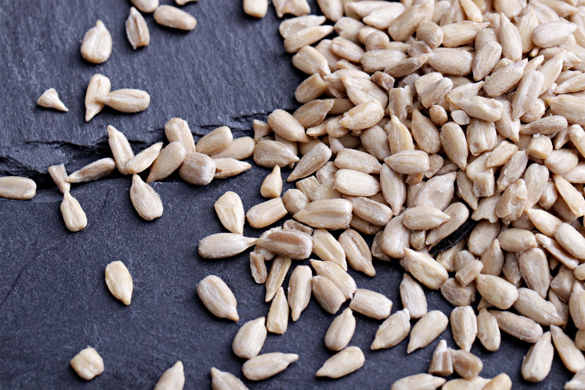 Sunflower Seed Quality: Why Certified Seeds Deliver Higher Profits