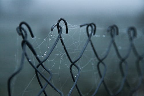 Ücretsiz ağ çit, hava, ıslak içeren Ücretsiz stok fotoğraf Stok Fotoğraflar