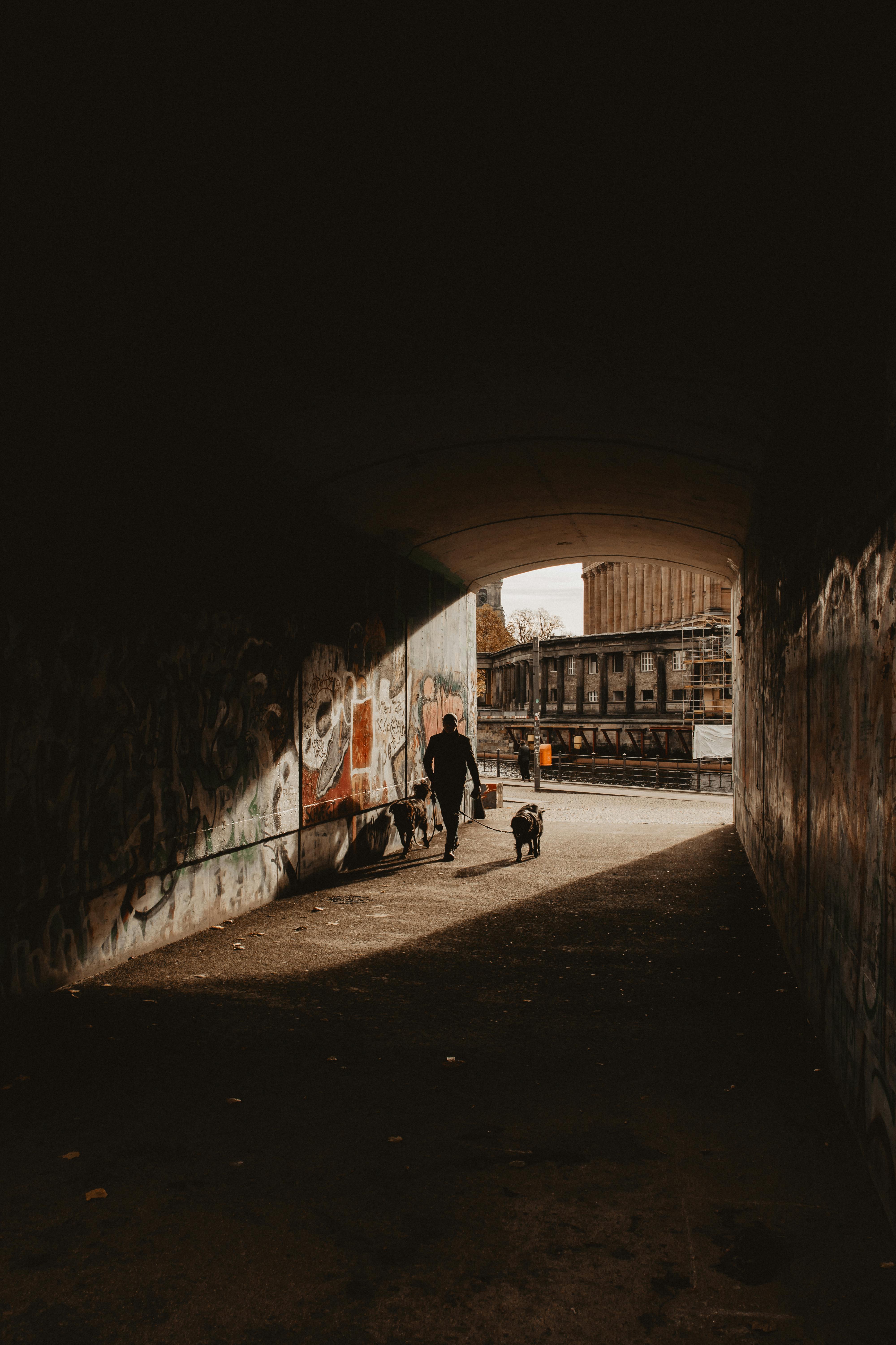 person with dogs in tunnel